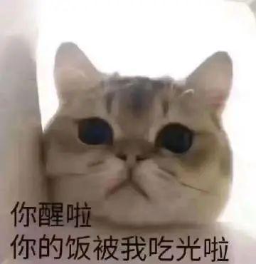 好了闭嘴丨第814期喵表情包