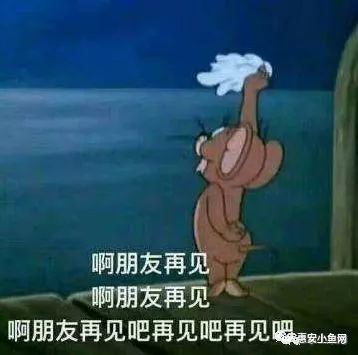 猫的表情包卖萌啊朋友再见