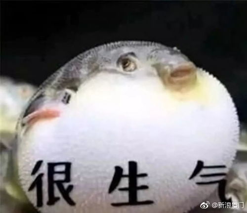 2018年7月21日厦门夜宵新闻