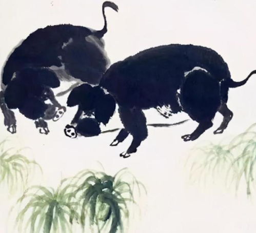 生肖猪几岁开始,桃花到,财运到,福气到从此开始致富新生活