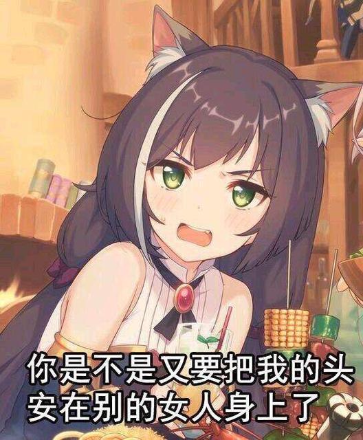 动画公主连结更新大家都爱的猫耳娘登场难道不是臭鼬吗