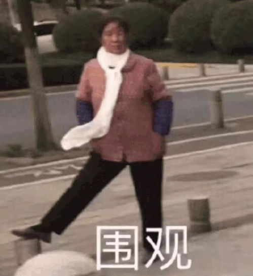 广场舞大妈表情包图片包裹