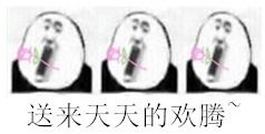 哈哈哈哈一组新年用的傻雕表情包,大家恭喜发财