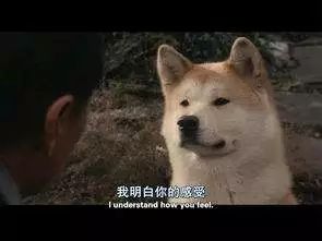 现代人的社交恐惧在吗