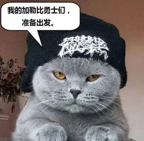 23岁,大学都要毕业了,学编程太迟都这把年纪了,别瞎折腾了