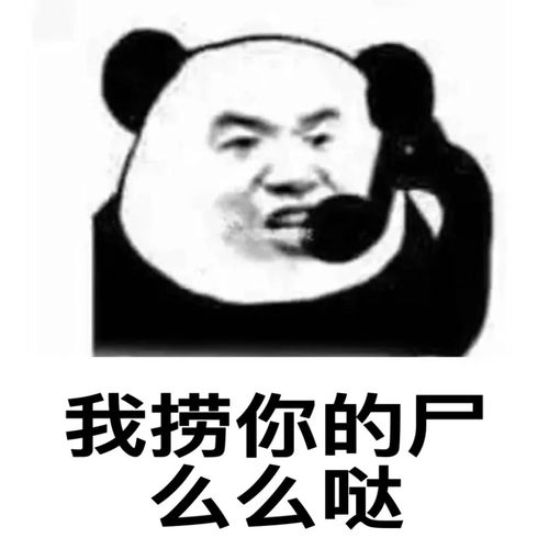 王思聪孙一宁表情包大合集