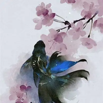 带来好运的微信头像花微信最吉利的好看头像