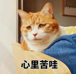 30岁左右的财务人,劝你一定要考下中级会计