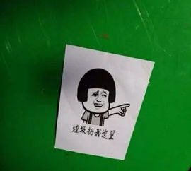高校垃圾桶现呆萌表情包,网友都不好意思随便扔垃圾了