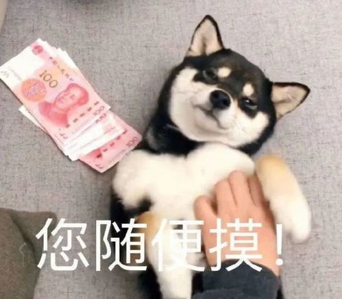 看起来有大病的文案