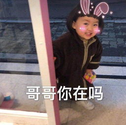 搞笑内涵段子本人女,不胜酒力,啤酒一杯就困的不省人事