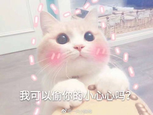 快乐崇拜水星历险记