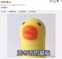 平胸有什么优势周冬雨的回答耿直得可怕