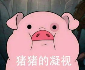 美炸发问丨男票老公给你送过哪些匪夷所思的东西