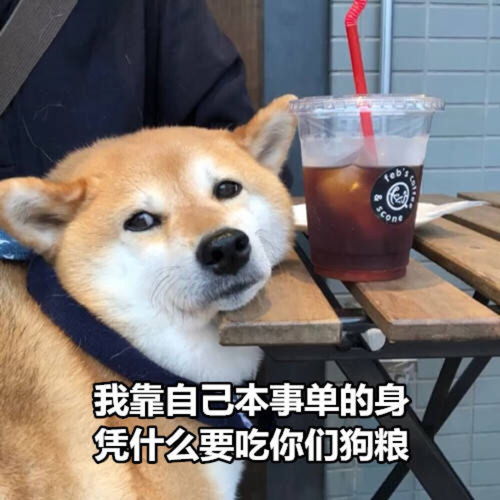 七夕快乐英文表情包柴犬