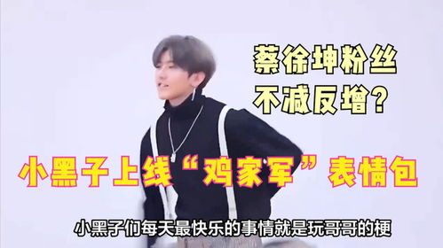 蔡徐坤下蛋表情包文案