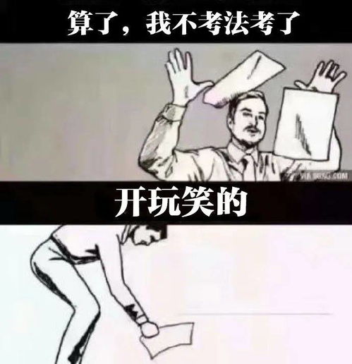 看法考人的2020年法考总结报告,是你吗