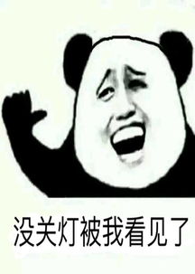 弹琴表情包练琴
