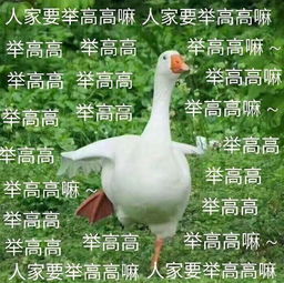 号外号外,孤独寂寞丑编辑招人啦