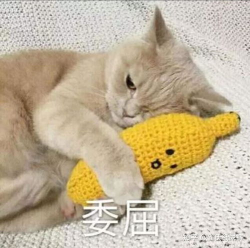 长期不谈恋爱是什么感觉