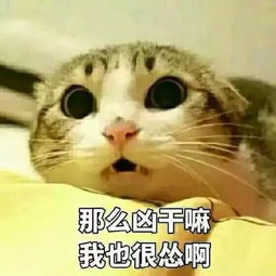 讨薪,当人质,跳崖,被抓进公安局,看水逆小编剧如何逆风翻盘征服重案组刑警