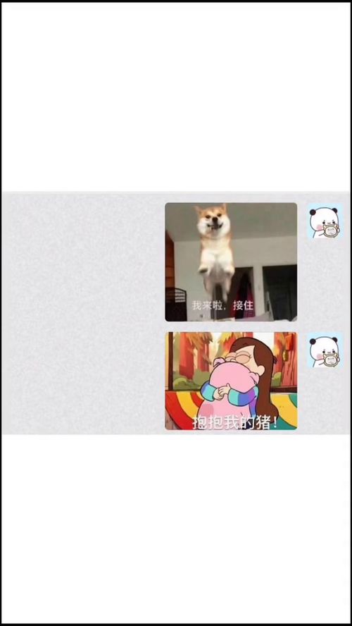 会被骂吗套路男朋友表情包上热门