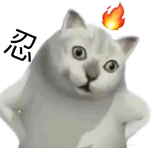 表情包怎么添加打劫