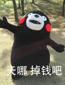 晨薇熊本熊一出,谁与争萌...百田表情包圈