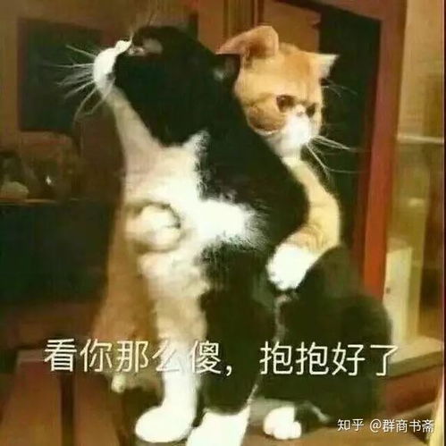 10张撩人的表情包,喜欢的赶紧收藏了