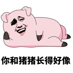 猪头表情包搞笑图片头像