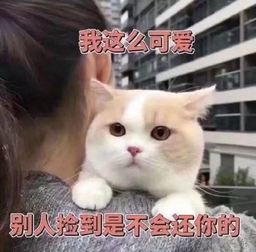 我也想当管理员啊
