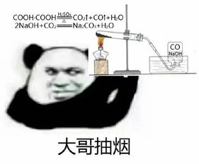 威力强大的斗图表情包你没对象,好可怜哦