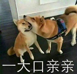 关于谈女友时,溺水先救谁得问答题,您先救谁啊