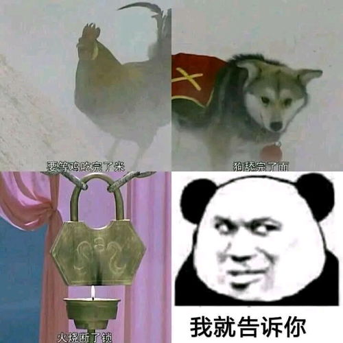 表情包收集进度1