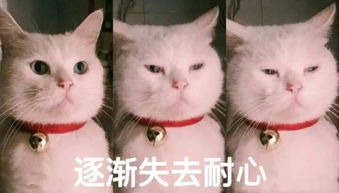错过彭于晏,都不能错过的是2018下半年的ta