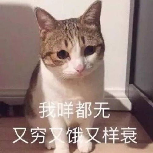 创业却跟亲爸闹翻坐拥7000w房产的男友深夜哭诉你们弱弱感受下...