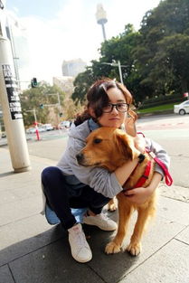 给你抱抱的表情包爱犬