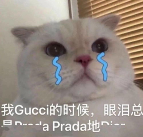五年了,一想到他们没结婚我就生气