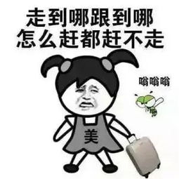 夏至追世界杯的夜晚,拒绝蚊子给你发红包