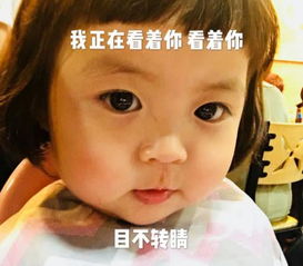 最近火了孤独表情包一个人也挺好,不用整天守着手机