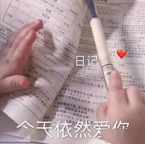 56张沙雕表情包,好拽好喜欢