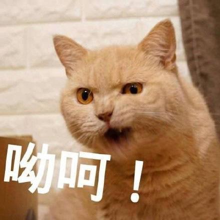 作为女生,你怎么能不来收这波表情包可爱又撩人,女生专用