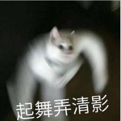 为什么我们偏爱不良姿势