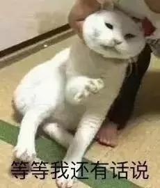 10块当300块用这9个平替千万别踩雷