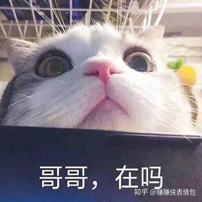 表情包动图片试图走进你的心