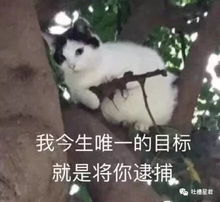网购了9块9包邮的爱豆同款眼罩,结果收到货后...自拍瞎了