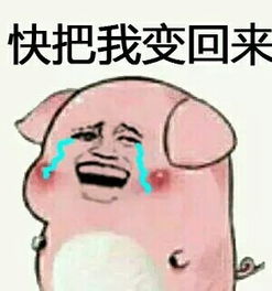 变猪喷雾表情包完整版