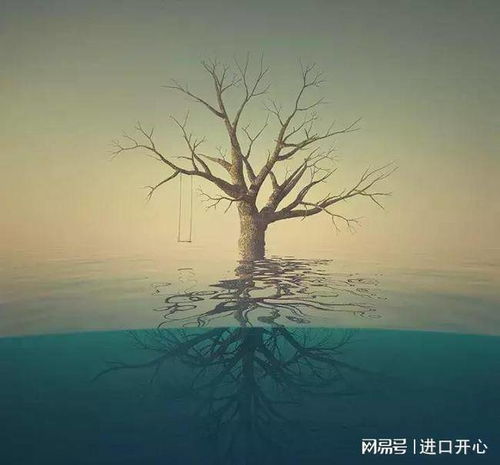中年男人的婚变我要为自己活着了