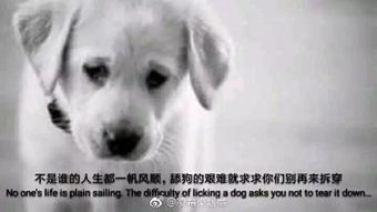 凌霜染烟墨的微博微博