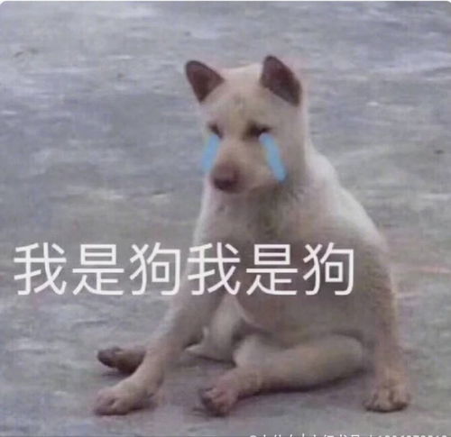 提了辞职以后,领导让你再考虑几天